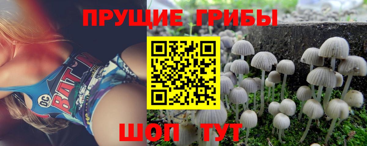 Янаул  Псилоцибиновые грибы прущие грибы  Галлюциногенные грибы мицелий  Вход с VPN 